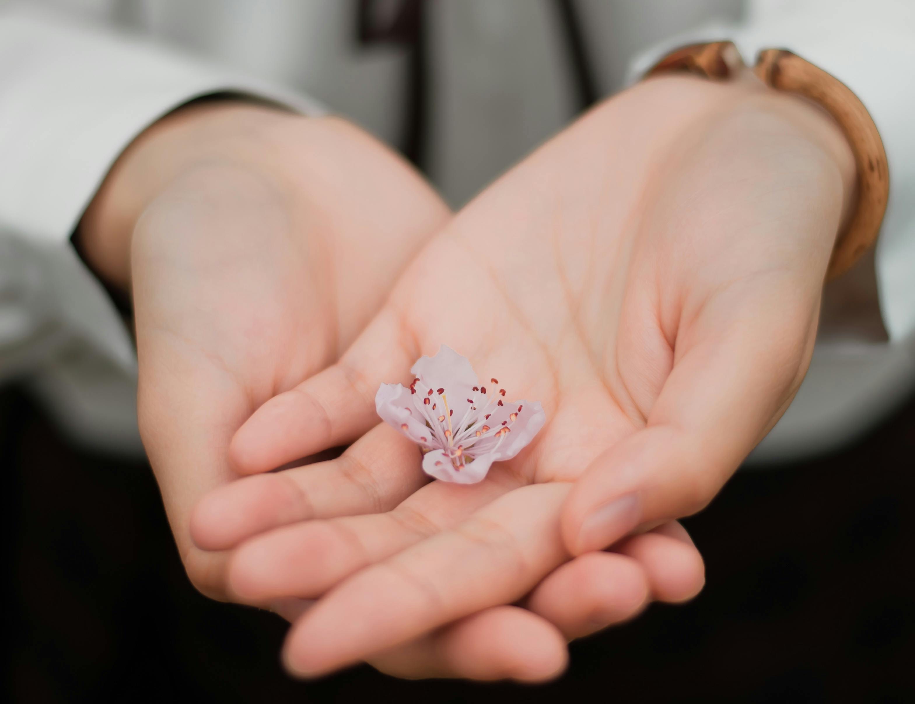 a girl holding flowers in her hands